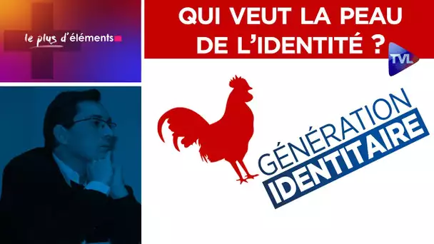 Qui veut la peau de l’identité ? - Le Plus d’Éléments n°20 - TVL