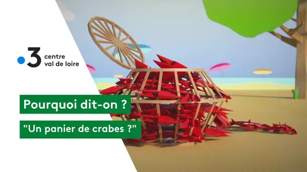 Pourquoi dit-on : un panier de crabes ?