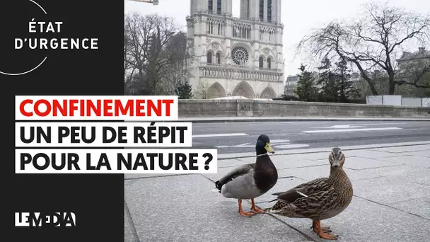 CONFINEMENT : UN PEU DE RÉPIT POUR LA NATURE ?
