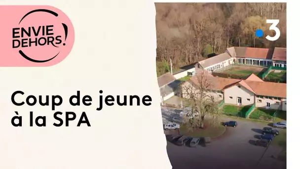 Coup de jeune à la SPA