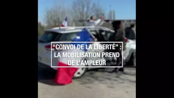 "Convoi de la liberté" : la mobilisation prend de l'ampleur