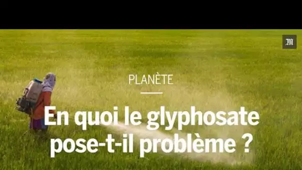 En quoi le glyphosate pose-t-il problème ?