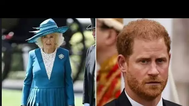 La reine Camilla sera qualifiée de « méchante belle-mère » du prince Harry dans un documentaire