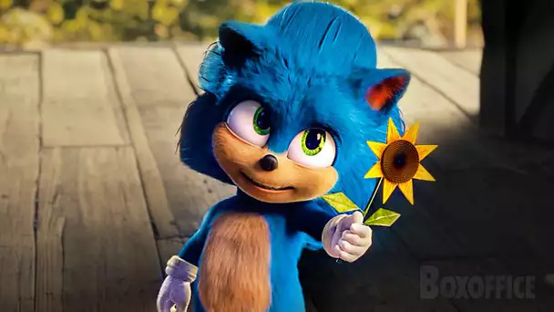 L'histoire de bébé Sonic