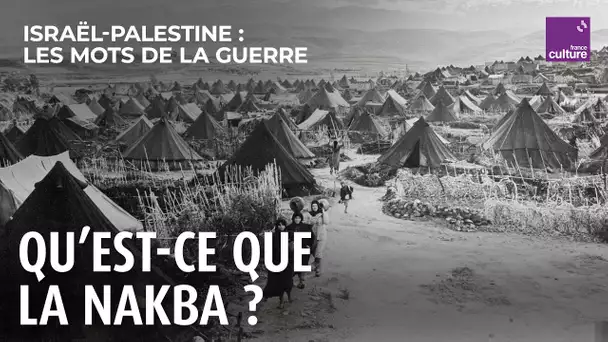 Nakba, l'exil palestinien ou le "désastre" (7/11) | Israël-Palestine, les mots de la guerre