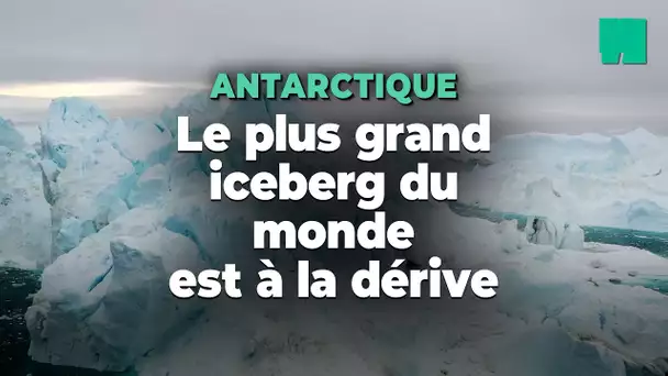 Cet iceberg géant est à la dérive en Antarctique