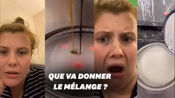 Saurez-vous reconnaître la couleur de ces pots de peinture qui affolent Tik Tok?