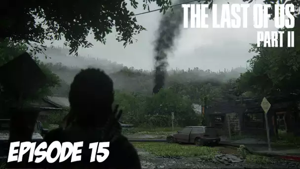 The Last of Us Part II - Thommy ou es-tu ? | Episode 15