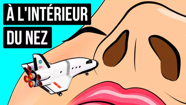 Pourquoi perdons-nous le goût si nous avons le nez bouché ? + Faits amusants sur le corps humain