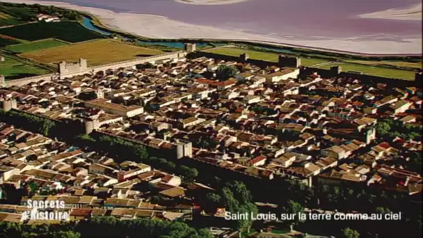 Secrets d’Histoire – Saint Louis, sur la terre comme au ciel - Église de Notre-Dame-des-Sablons