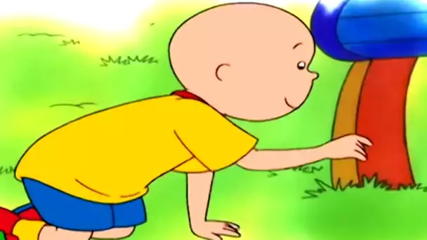 Caillou et la Chasse au Trésor | Caillou en Français