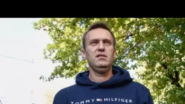 Alexeï Navalny, opposant à Vladimir Poutine, hospitalisé dans un état grave