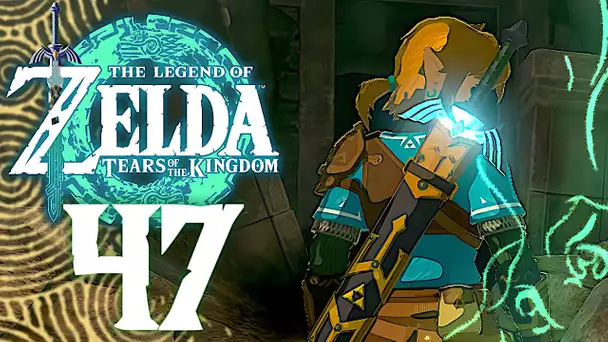 ZELDA TEARS OF THE KINGDOM #47 | RETOUR AUX SOURCES !