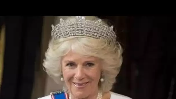 Un grand honneur" Camilla rompt le silence sur le nouveau rôle de la reine consort lorsque Charles e