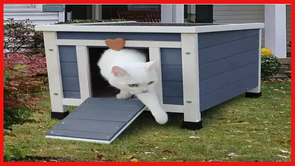 Cat Shelter Outside for Feral Cats, Wooden Small Animal House and Habitats Weatherproof Blue&White