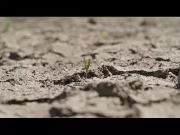France : inquiétude des agriculteurs face aux sécheresses plus fréquentes