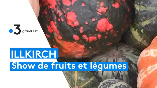 Grand show de fruits et légumes à Illkirch