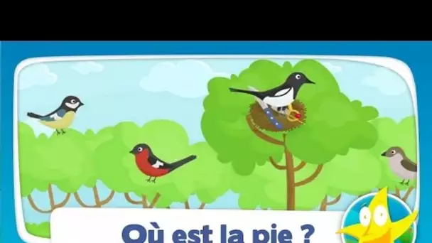 Comptines pour enfants - Où est-ce qu&#039;est la pie ?