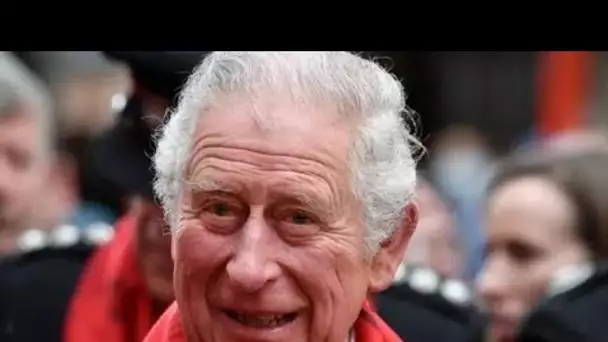 Étonnant! La frénésie des fans royaux sur la ressemblance du prince Charles avec son ancêtre d'il y