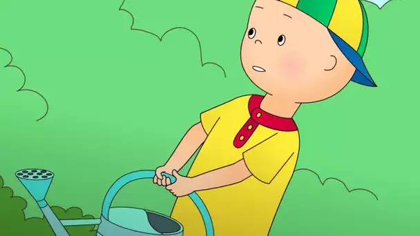 Caillou le Jardinier | Caillou en Français