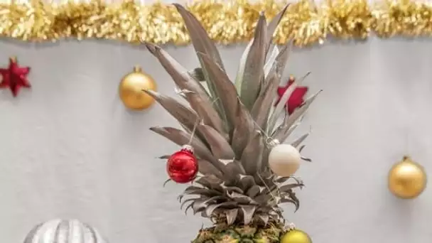 Décorez votre maison avec un sapin ananas pour Noël