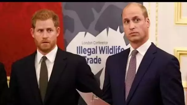 Harry et William avaient une «énorme rivalité» et n'étaient «jamais de bons amis» – même avant la qu