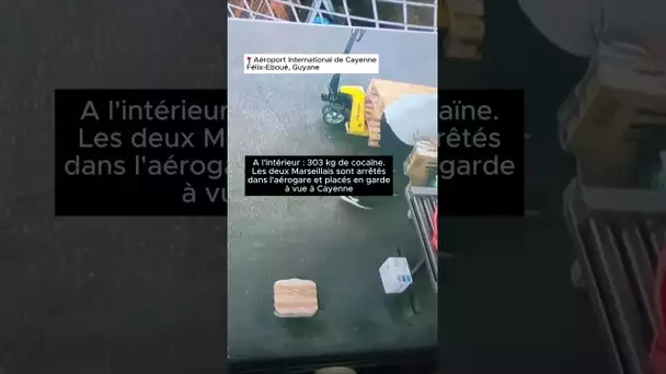 303 kg de cocaïne trouvés dans des cartons, deux Marseillais interpellés dans un aéroport en Guyane