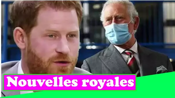 Le prince Harry a frappé le prince Charles avec `` plusieurs coups de poing '' lors d'une interview
