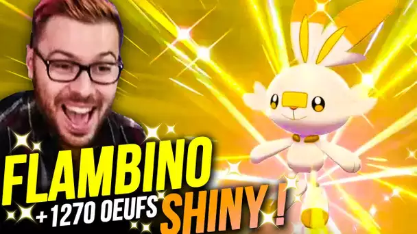 FLAMBINO SHINY✨| +1270 OEUFS | Pokémon Epée Bouclier