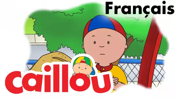 Caillou FRANÇAIS - Le mini marathon (S05E17) | conte pour enfant | Caillou en Français