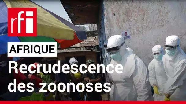 Afrique : comment expliquer la recrudescence des zoonoses ? • RFI