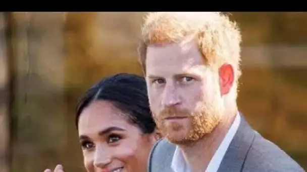 Meghan et Harry ont averti de «rassembler l'histoire» alors que le couple fait face à une «situation