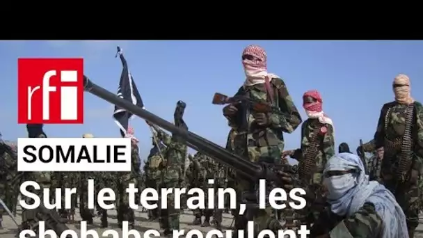 Somalie : « Le gouvernement actuel est beaucoup plus sérieux pour combattre les shebabs » • RFI