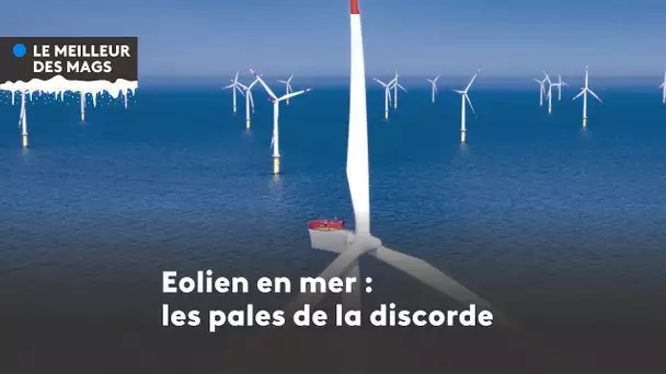 Le meilleur des mags 2022 : quel parc éolien Vendee