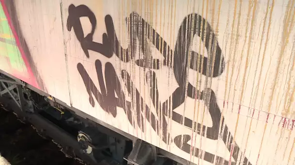 Pyrénées-Orientales : le Train jaune victime de tagueurs à Latour-de-Carol, la SNCF porte plainte