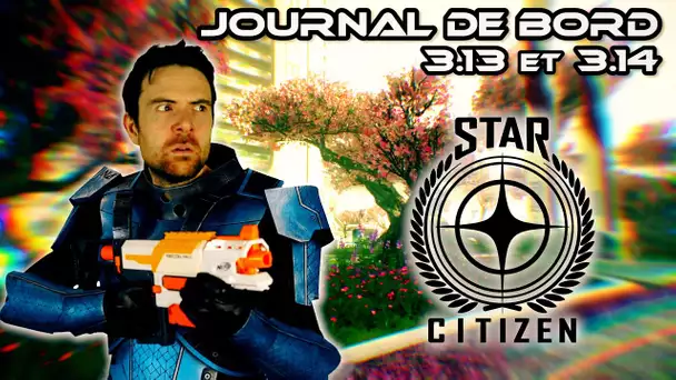 JOURNAL DE BORD - Star Citizen 3.13 et 3.14