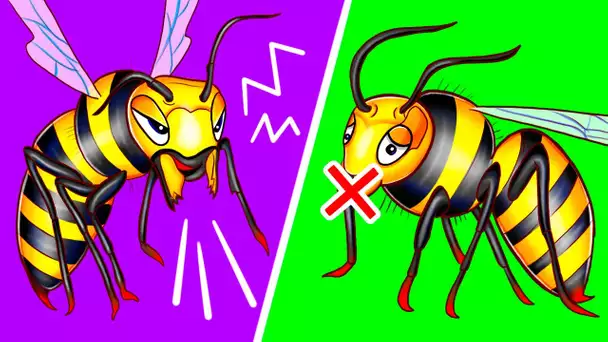 Voici pourquoi certaines abeilles bourdonnent tandis que d’autres le ne font pas