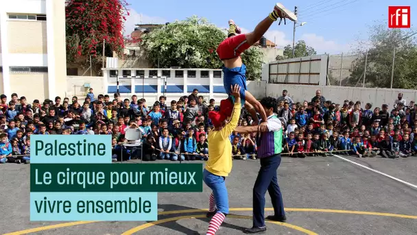 Palestine : le cirque pour mieux vivre ensemble • RFI