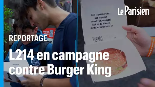 Élevages de poulets pour Burger King : L214 lance une opération «vérité»