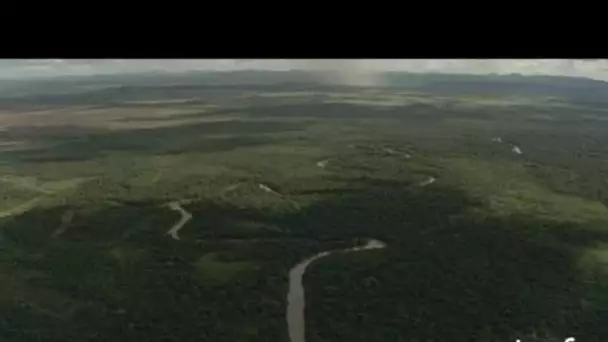 Brésil, Pantanal : paysages du Nhécolandia