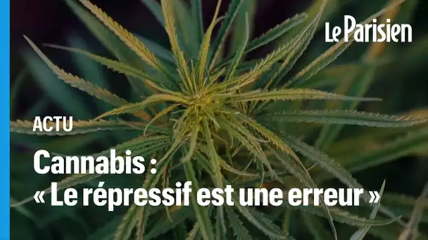 Légalisation du cannabis : la députée LREM Caroline Janvier réclame « une filière française »