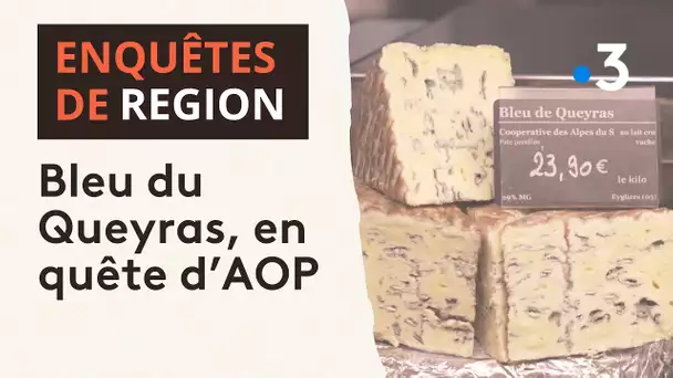 Touche pas à mon terroir : le Bleu du Queyras en quête d'AOP, une assurance-vie pour l'avenir