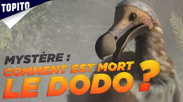 Top 8 des animaux disparus par "manque de bol"