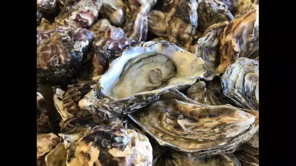 les huîtres de Vendée ont toujours leurs fans