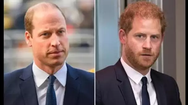 Le prince William « vraiment frustré et coincé » face à la décision « impossible » du prince Harry