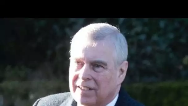 Prince Andrew : son aide au personnel soignant mal vue au Royaume-Uni