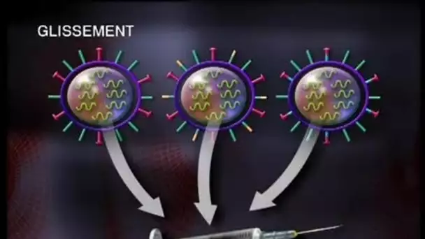 [Santé publique : fonctionnement des virus de la grippe]