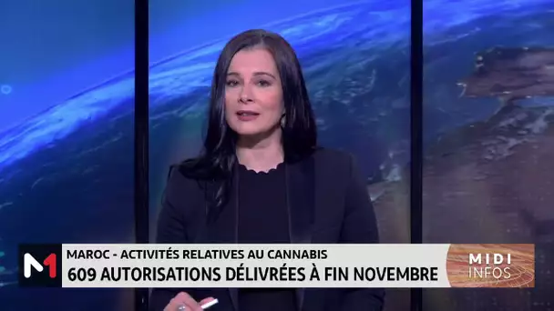 Maroc-activités relatives au cannabis: 609 autorisations délivrées à fin novembre