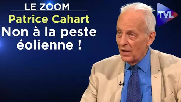 Non à la peste éolienne ! - Le Zoom - Patrice Cahart - TVL