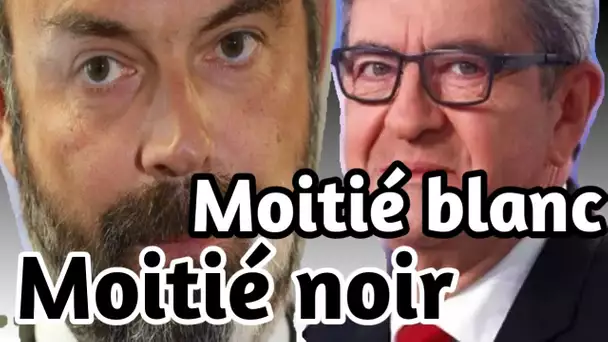 « Un dalmatien », quand Jean-Luc Mélenchon se moque du vitiligo d'Edouard Philippe